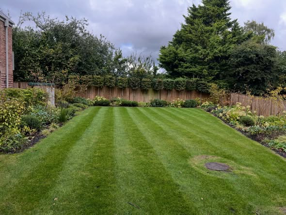 About K. Tomlin Gardening & Lawn Specialists