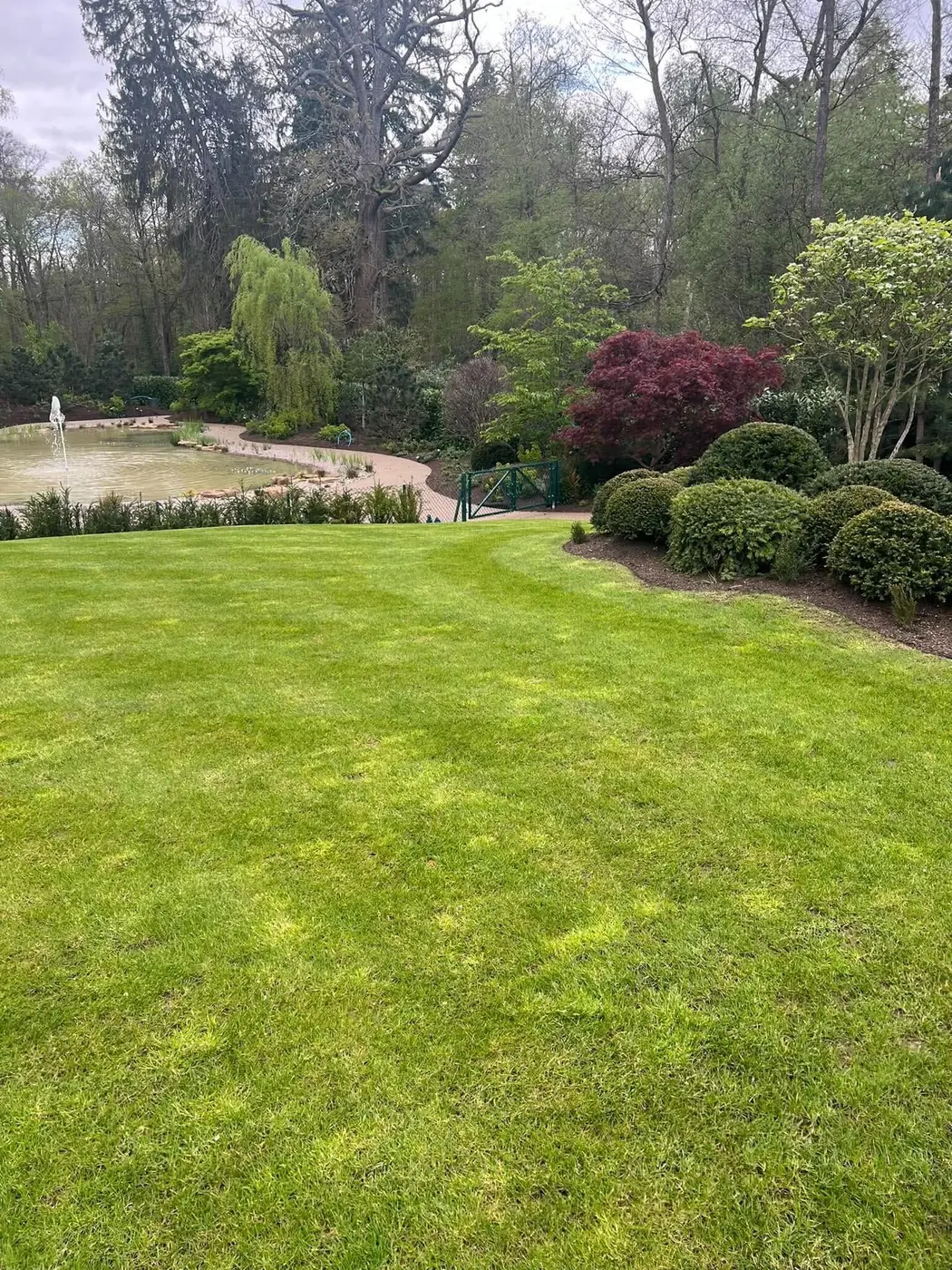 Lawn Care & Mowing — K. Tomlin Gardening & Lawn Specialists — photo 10