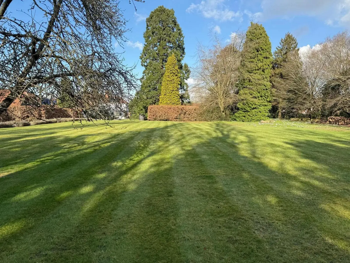 Lawn Care & Mowing — K. Tomlin Gardening & Lawn Specialists — photo 6
