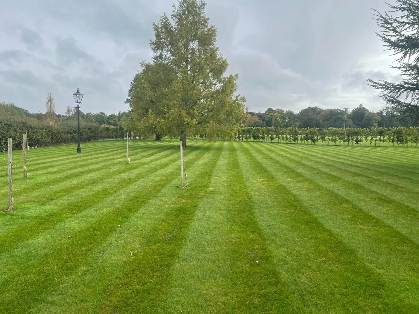 K. Tomlin Gardening & Lawn Specialists — photo 4