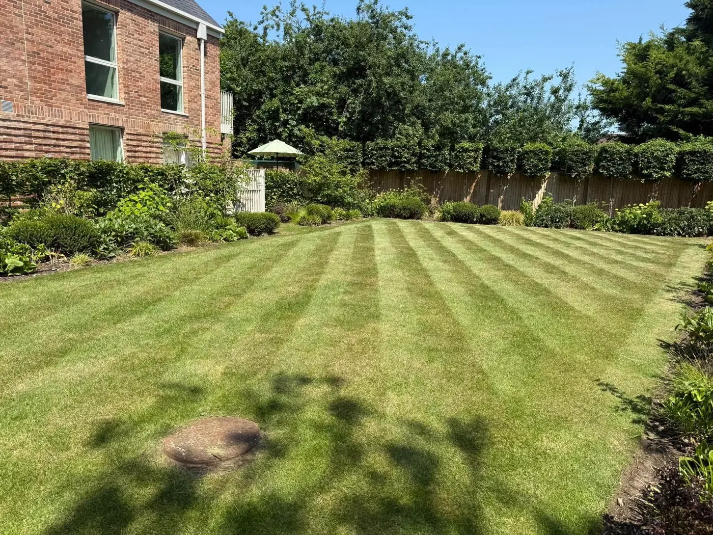 K. Tomlin Gardening & Lawn Specialists — photo 8
