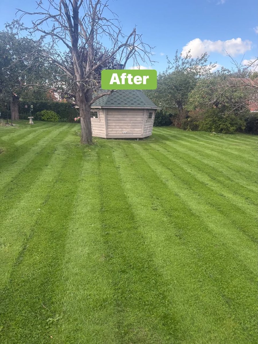Lawn Care & Mowing