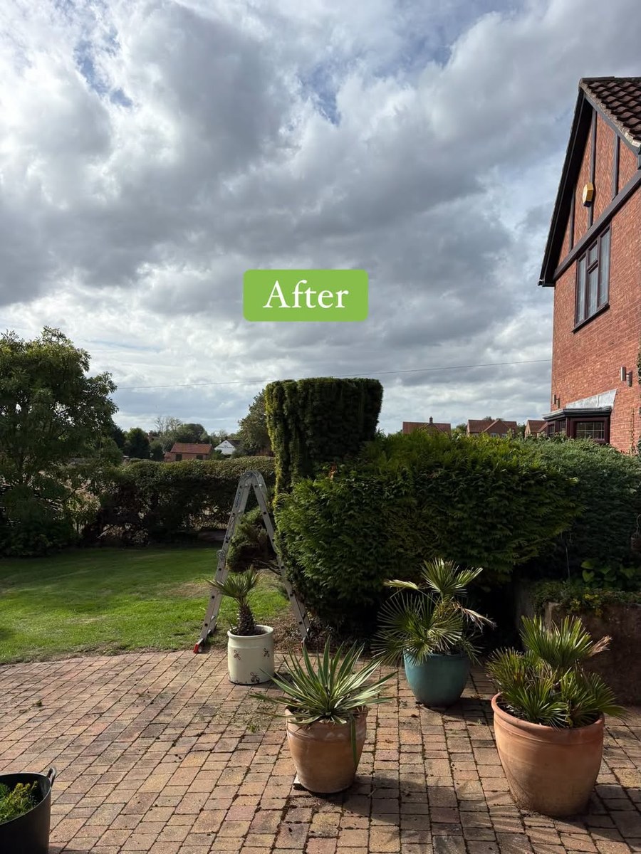 Borders, Weeding & Planting