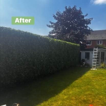 FitBoys Gardening — photo 5