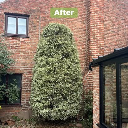FitBoys Gardening — photo 8