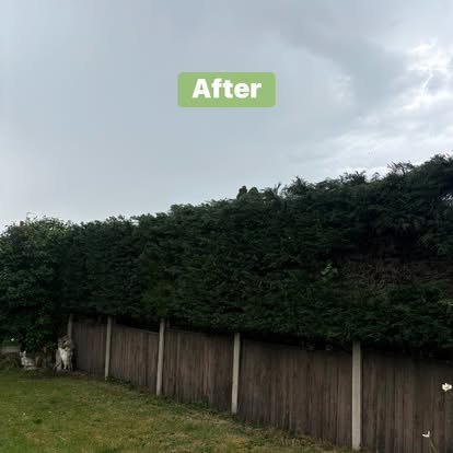 FitBoys Gardening — photo 9