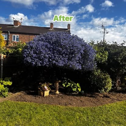 FitBoys Gardening — photo 13