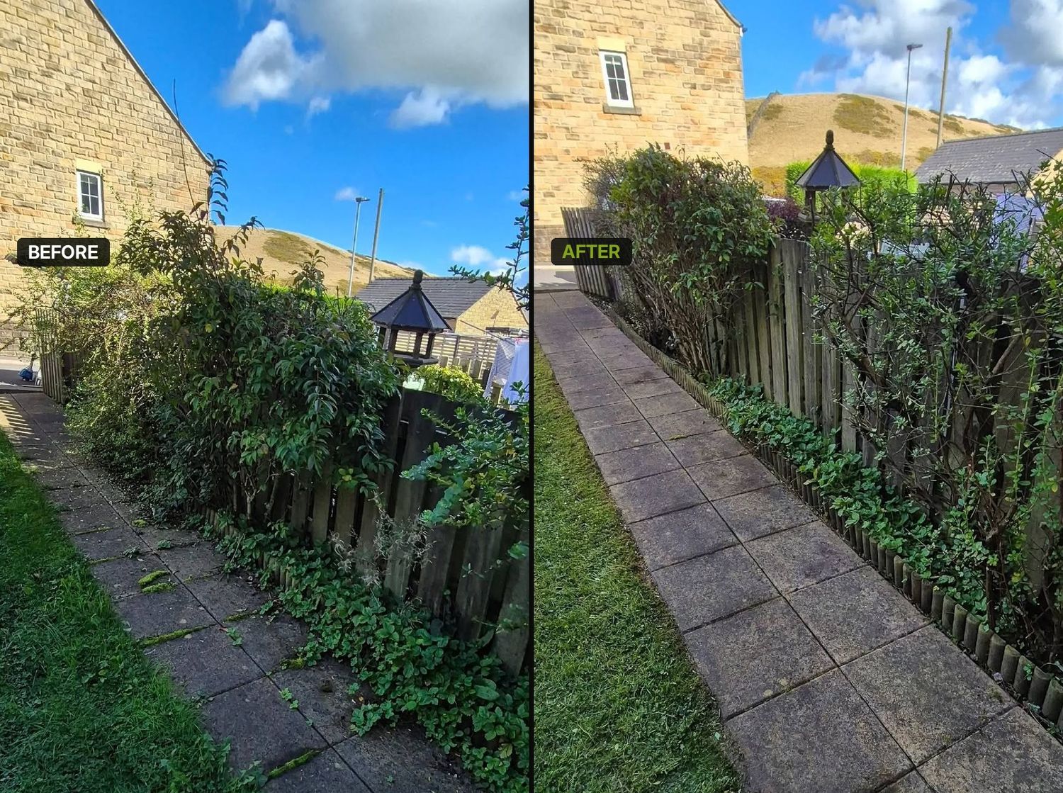 Pruning Shrubs & Borders