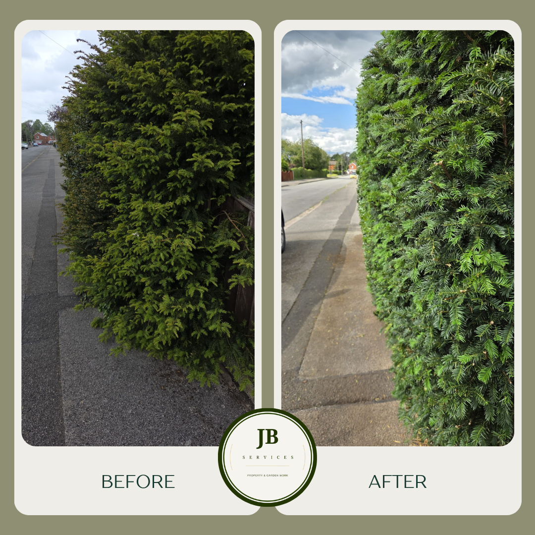 JB Services — photo 1