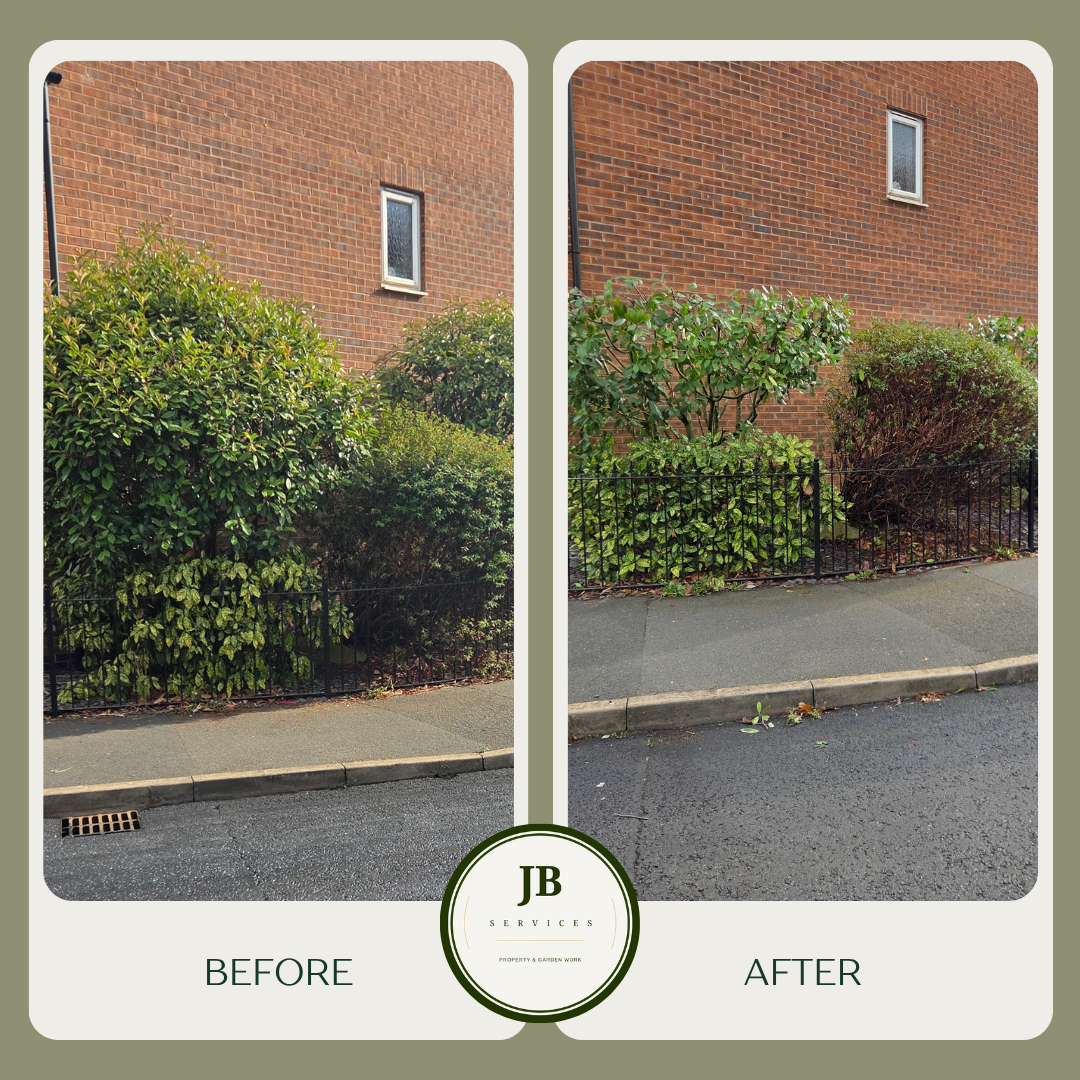 JB Services — photo 6