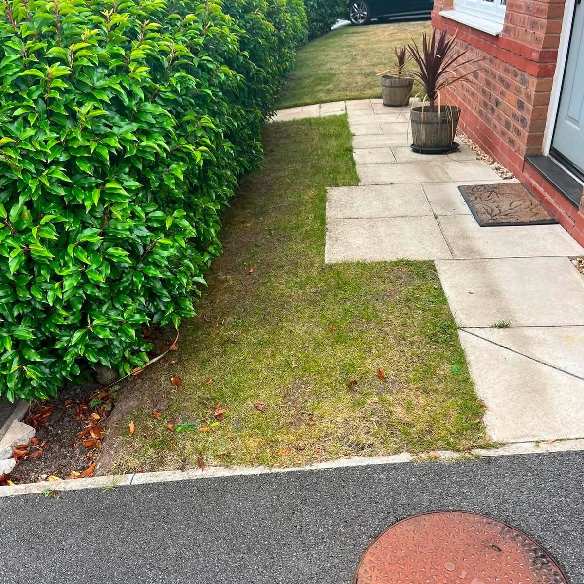 Hedge Trimming & Pruning