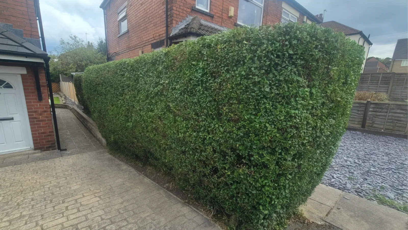 Hedge, Shrub & Tree Trimming