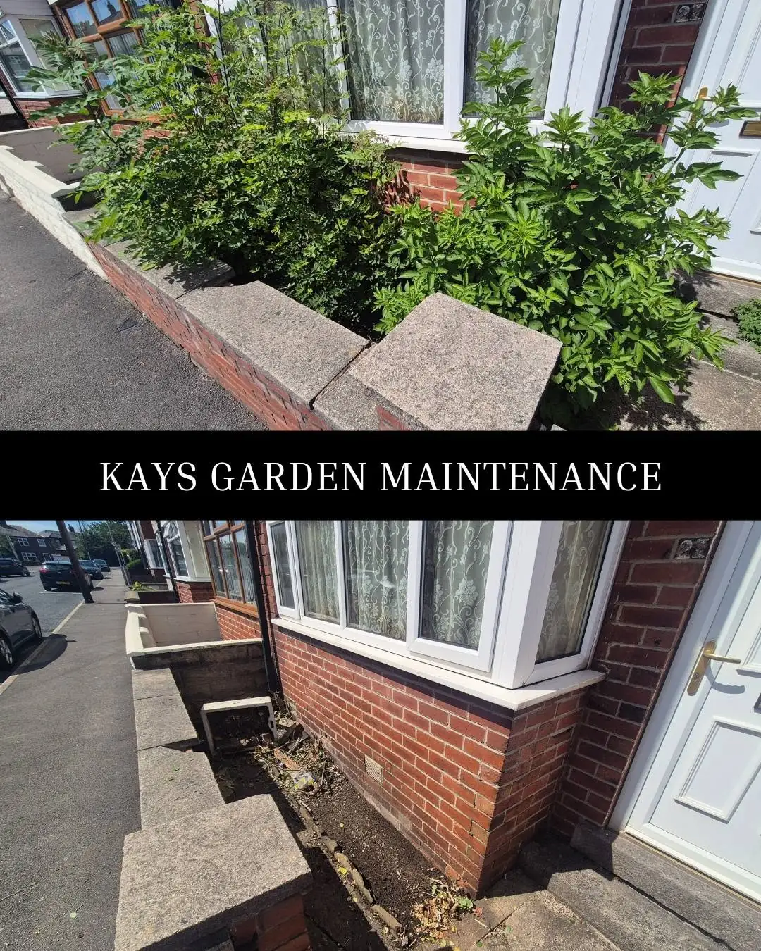 Hedge, Shrub & Tree Trimming — Kay's Garden Maintenance — photo 9