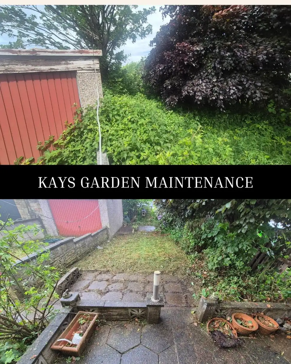 Garden Tidy Ups — Kay's Garden Maintenance — photo 4