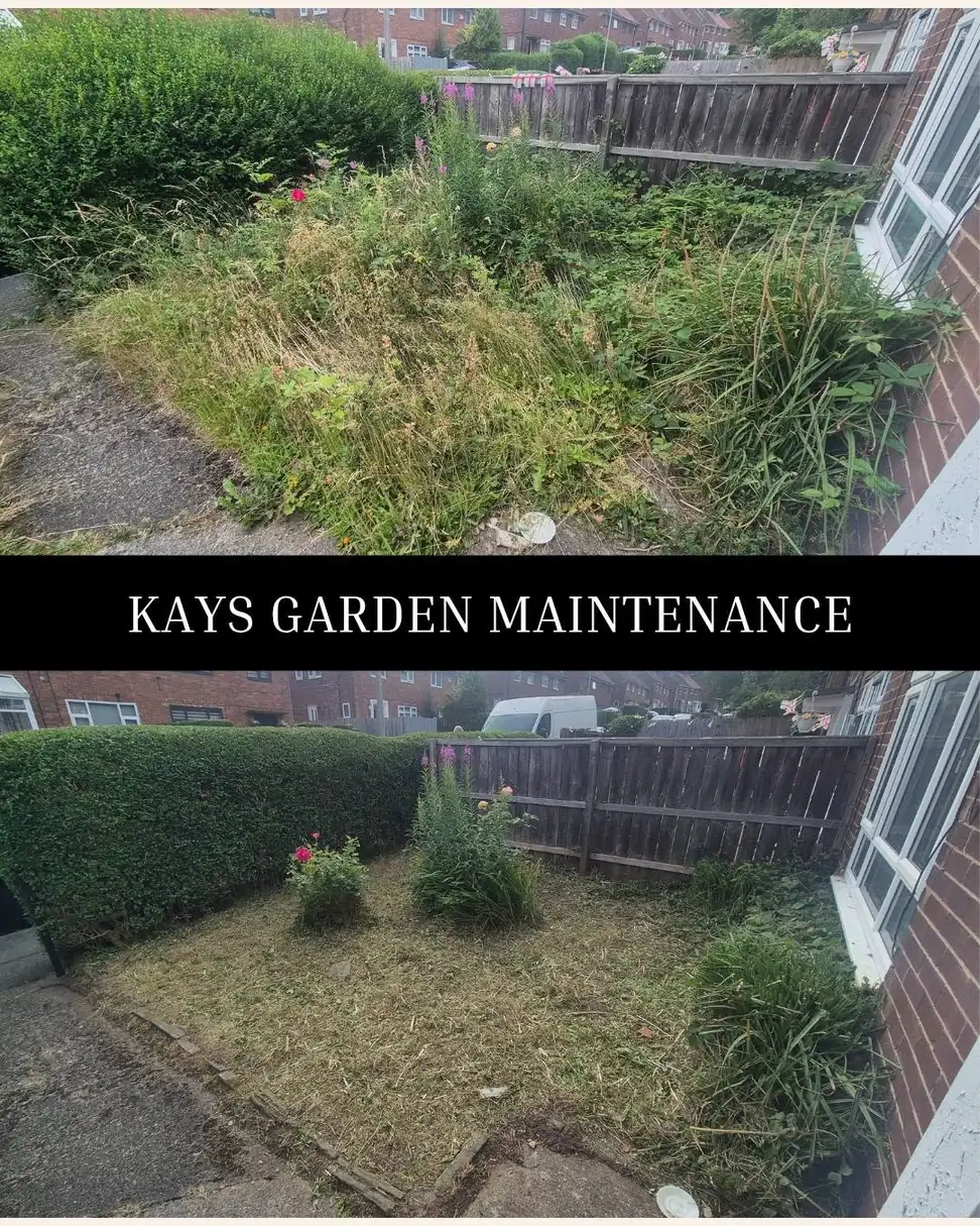 Garden Tidy Ups — Kay's Garden Maintenance — photo 7