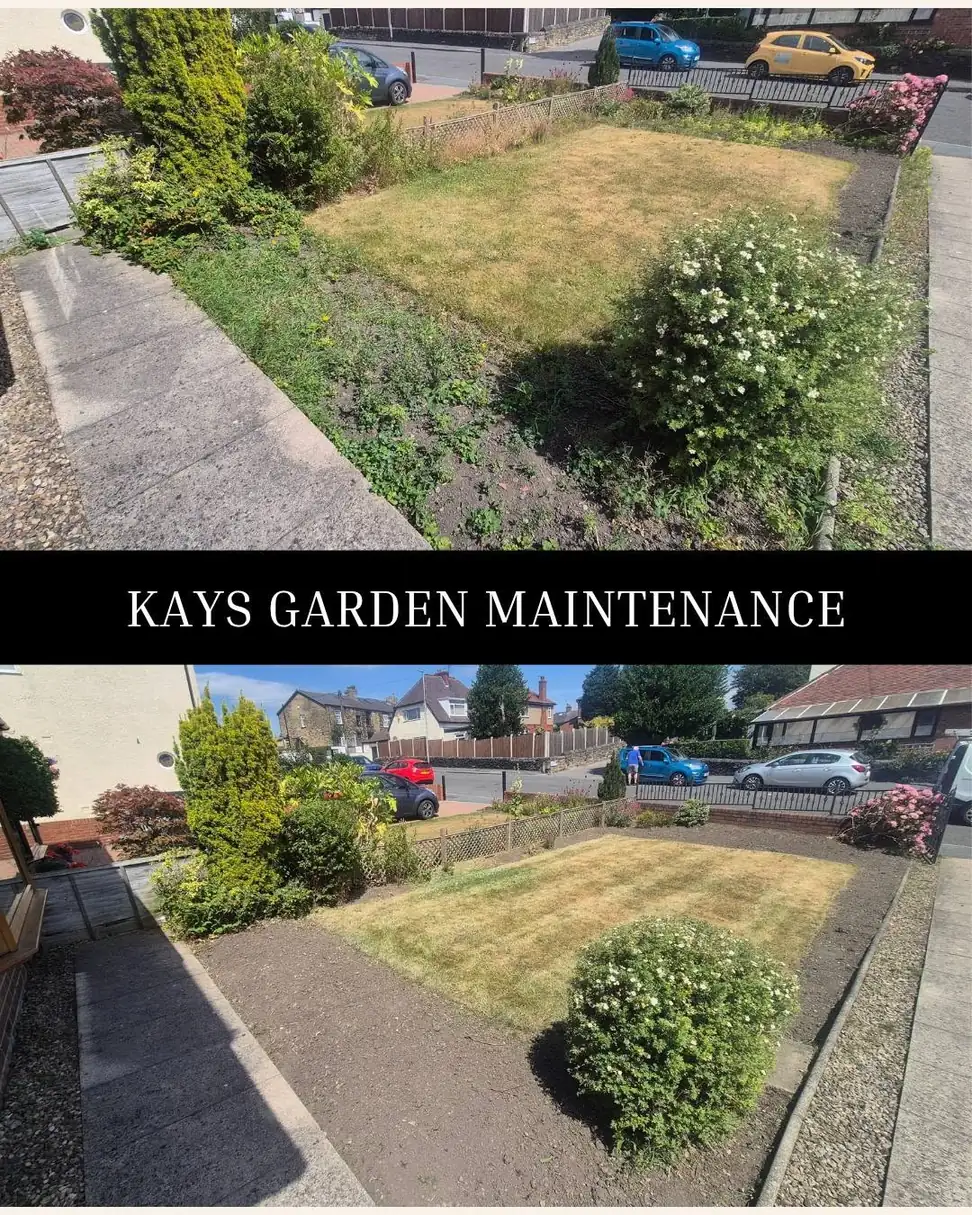 Garden Tidy Ups — Kay's Garden Maintenance — photo 10