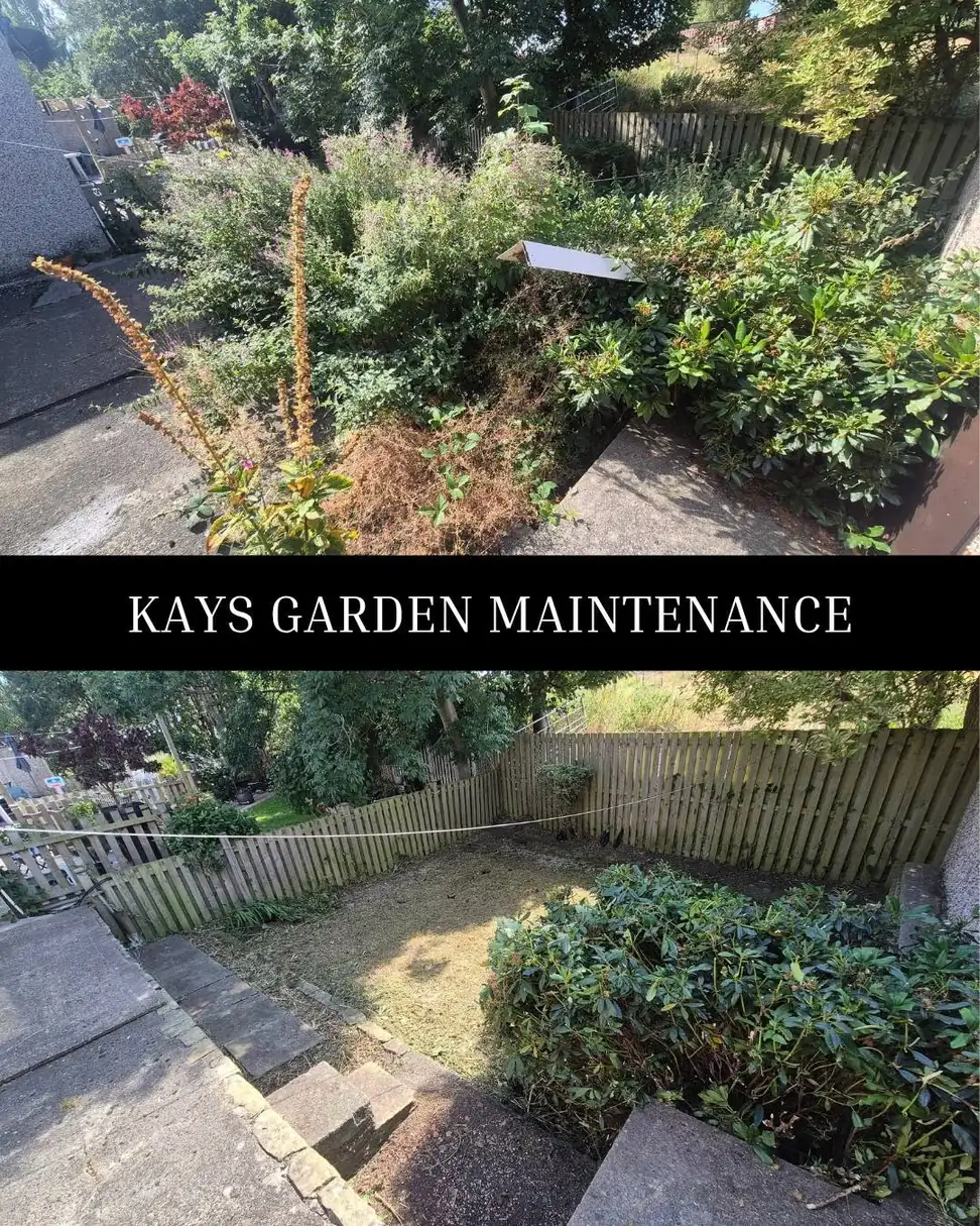 Hedge, Shrub & Tree Trimming — Kay's Garden Maintenance — photo 6