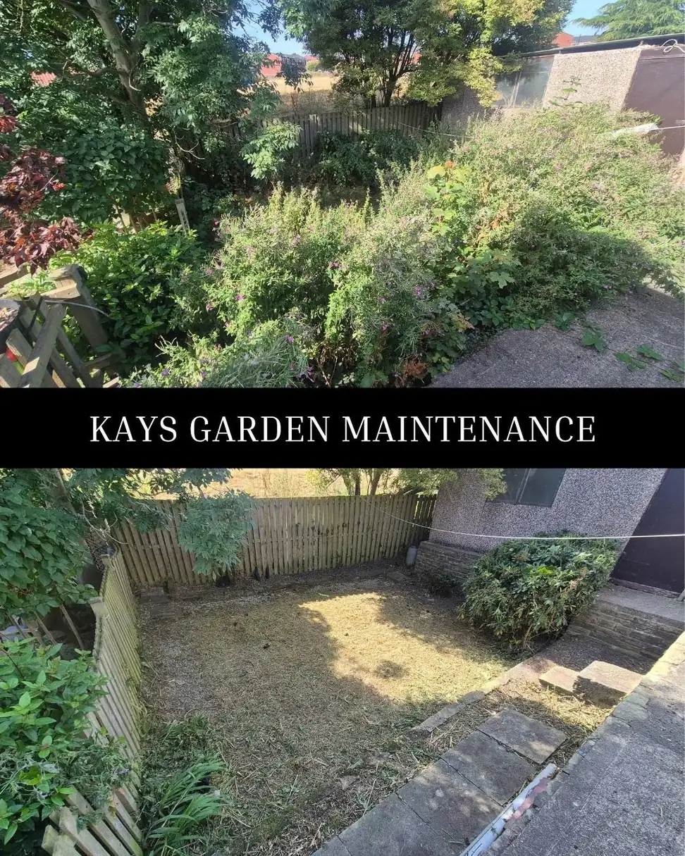 Hedge, Shrub & Tree Trimming — Kay's Garden Maintenance — photo 7