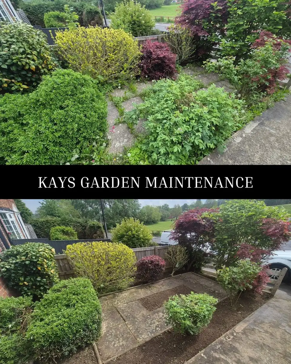 Regular Garden Maintenance — Kay's Garden Maintenance — photo 4