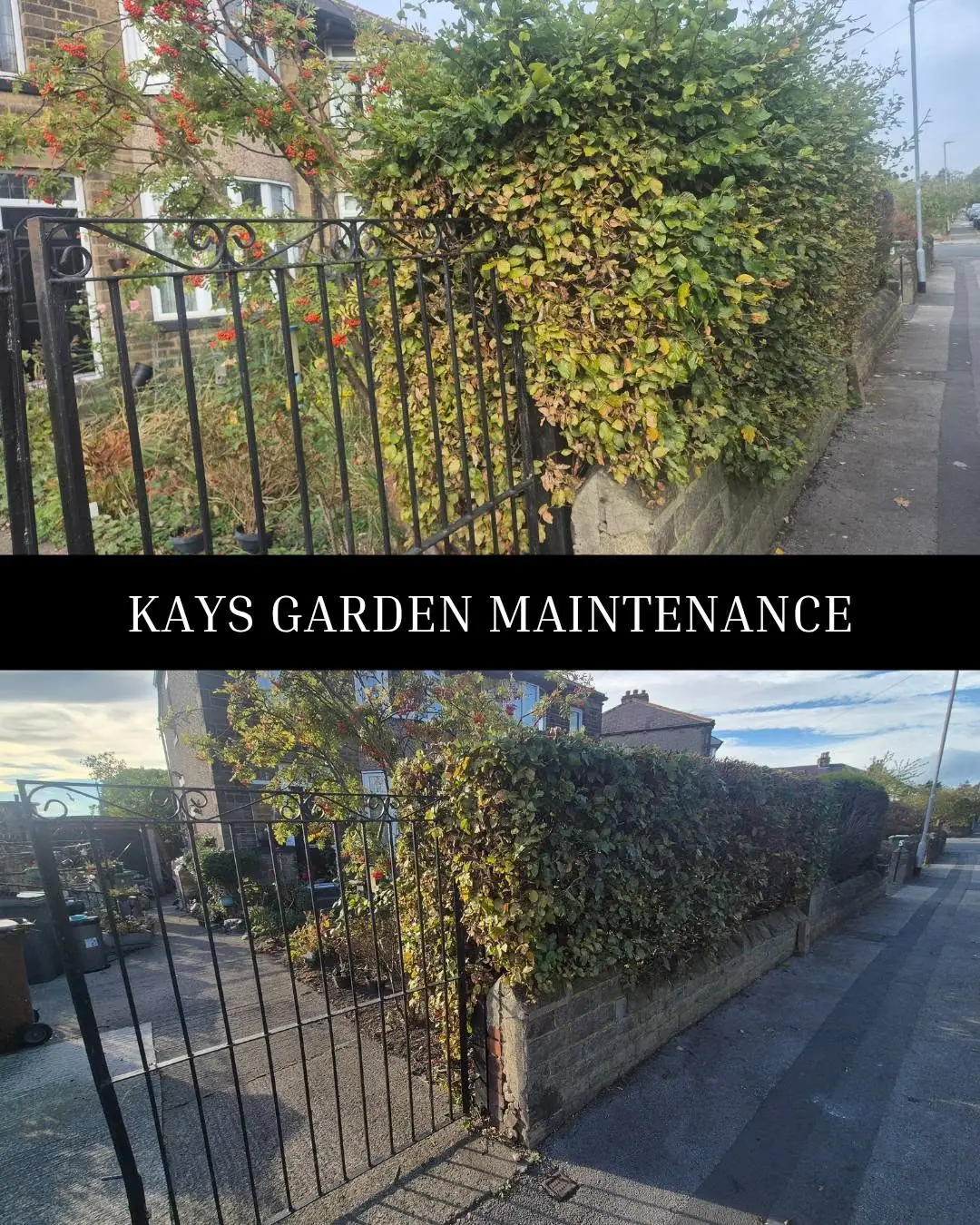 Hedge, Shrub & Tree Trimming — Kay's Garden Maintenance — photo 8