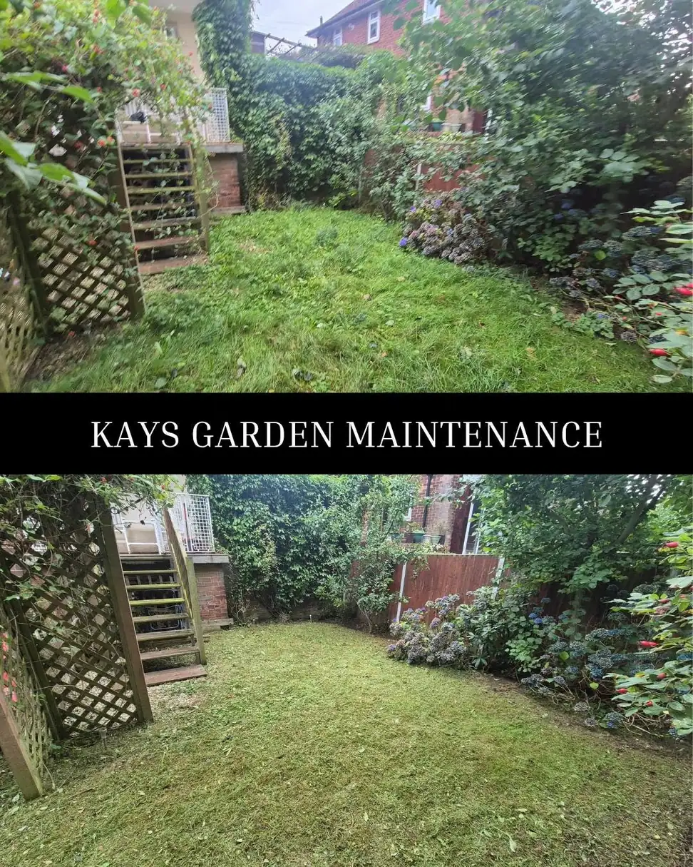 Regular Garden Maintenance — Kay's Garden Maintenance — photo 7