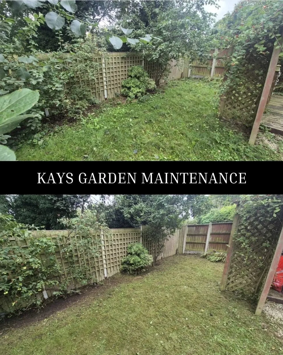 Regular Garden Maintenance — Kay's Garden Maintenance — photo 8