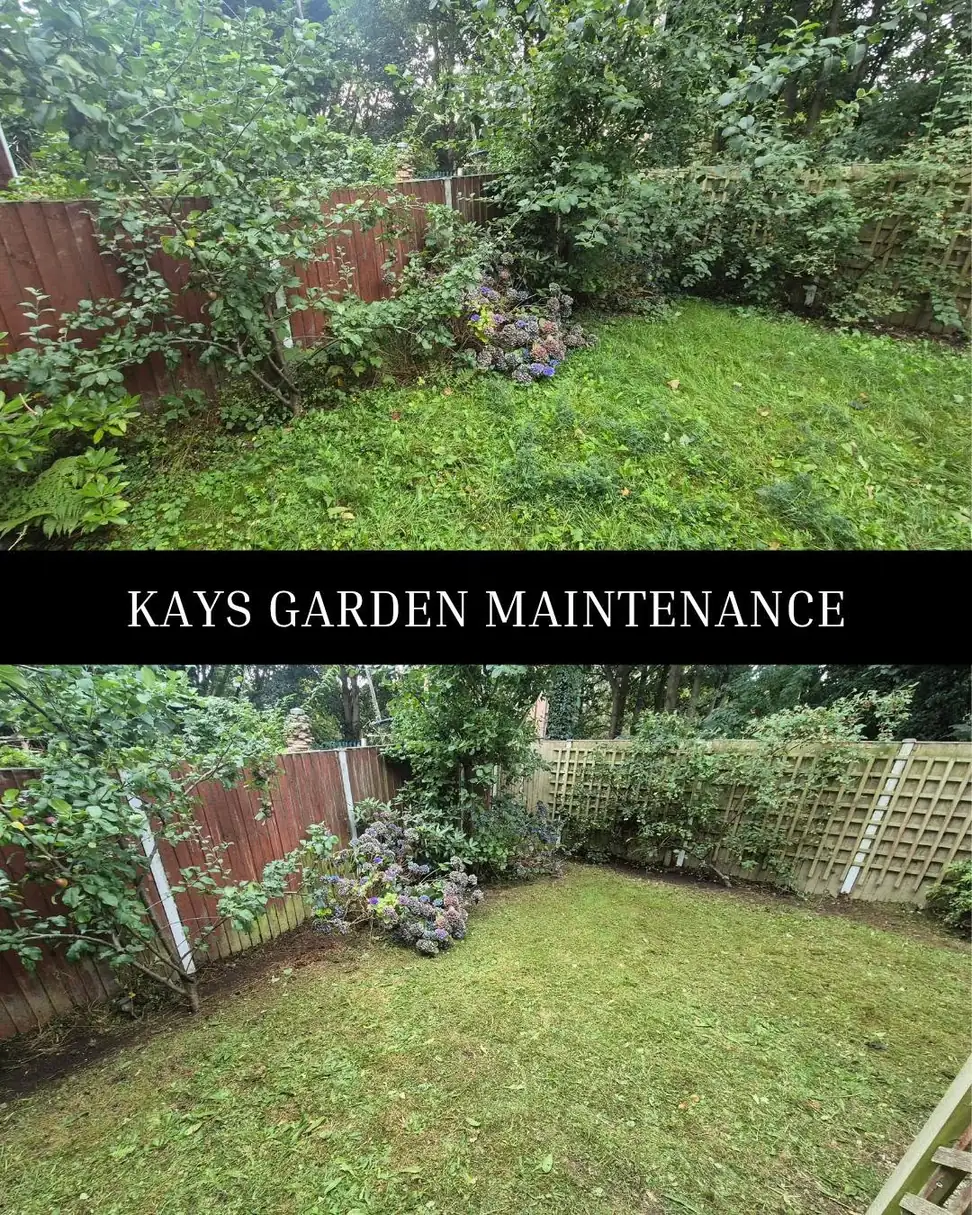 Regular Garden Maintenance — Kay's Garden Maintenance — photo 9