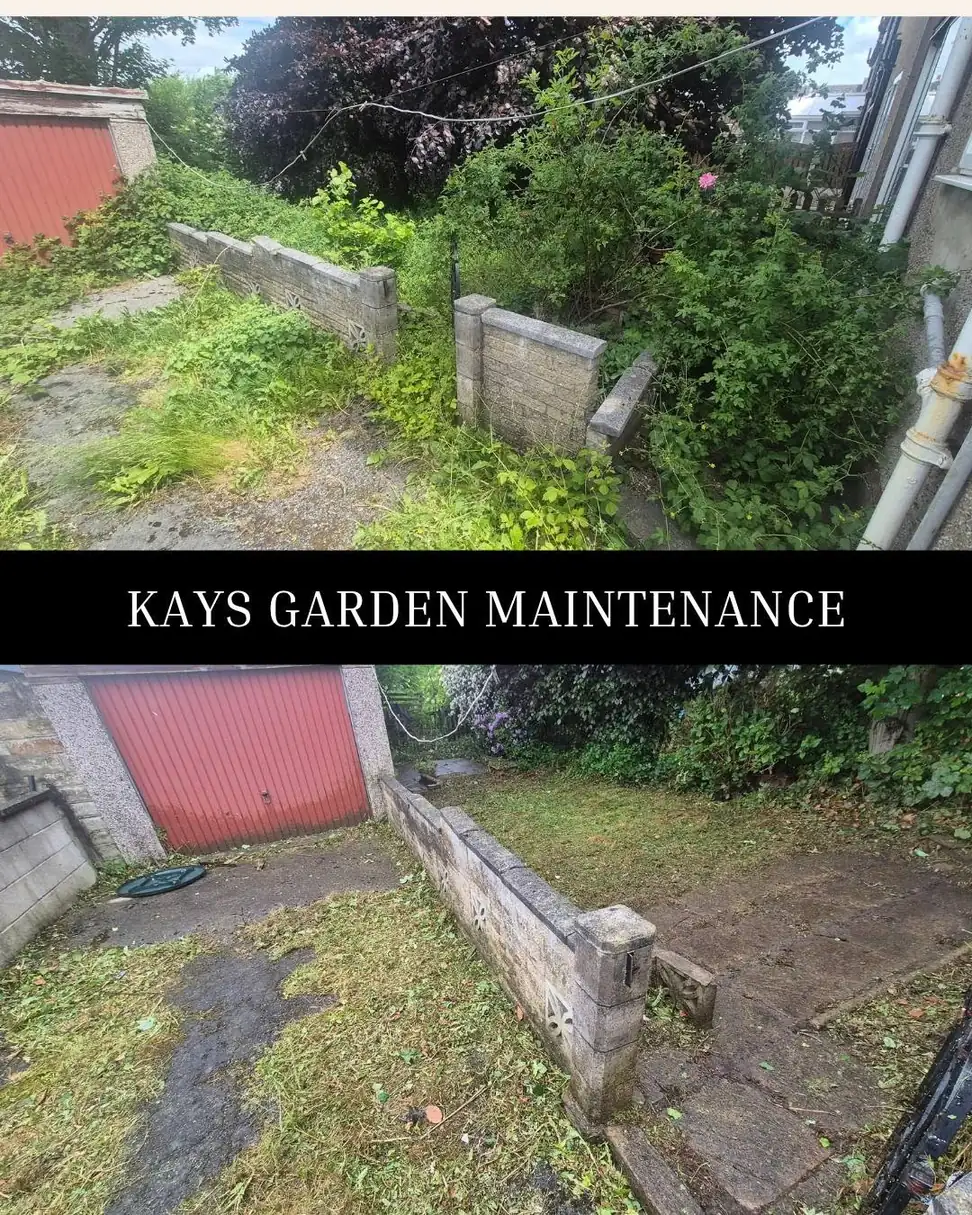 Garden Tidy Ups — Kay's Garden Maintenance — photo 13