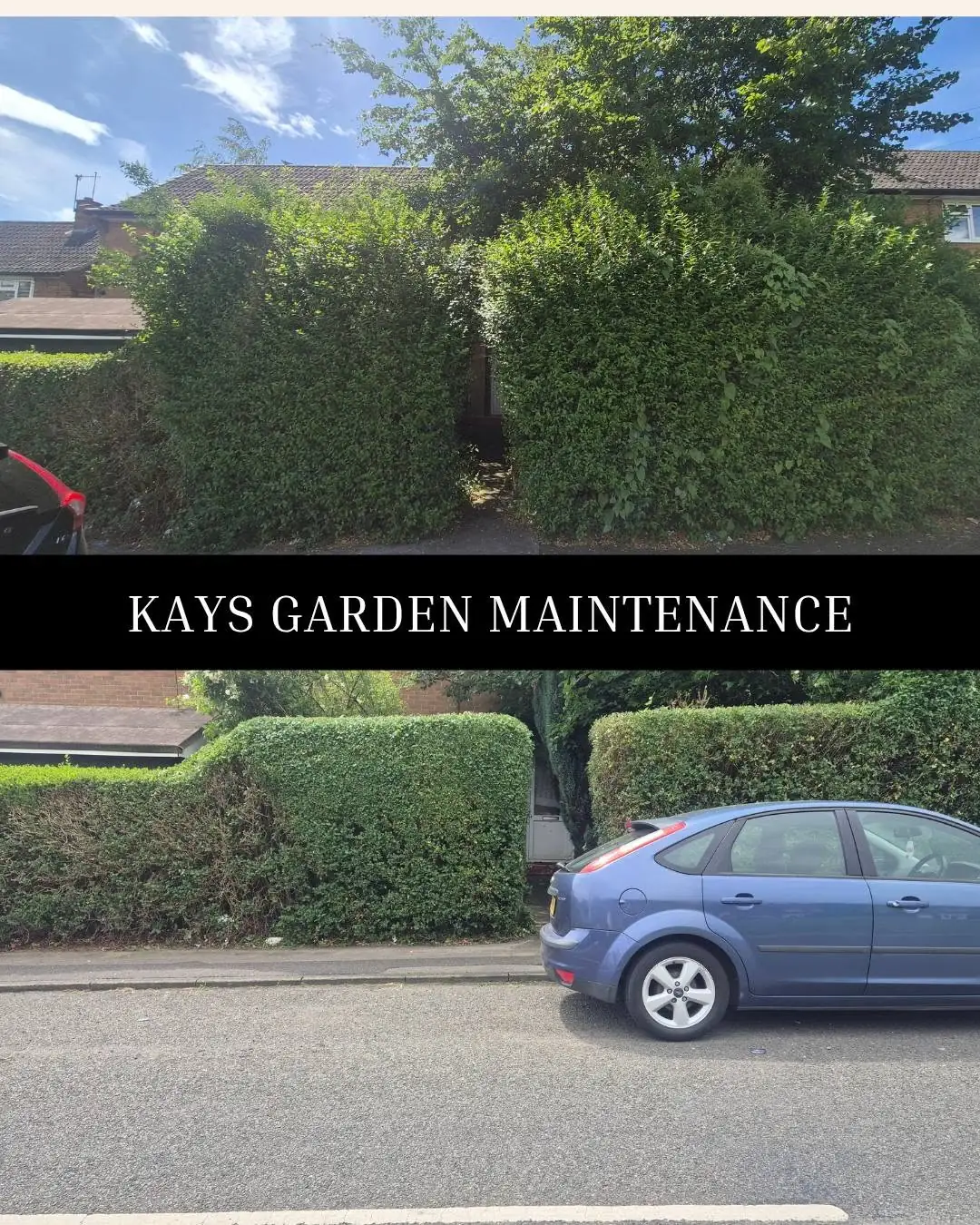 Hedge, Shrub & Tree Trimming — Kay's Garden Maintenance — photo 3