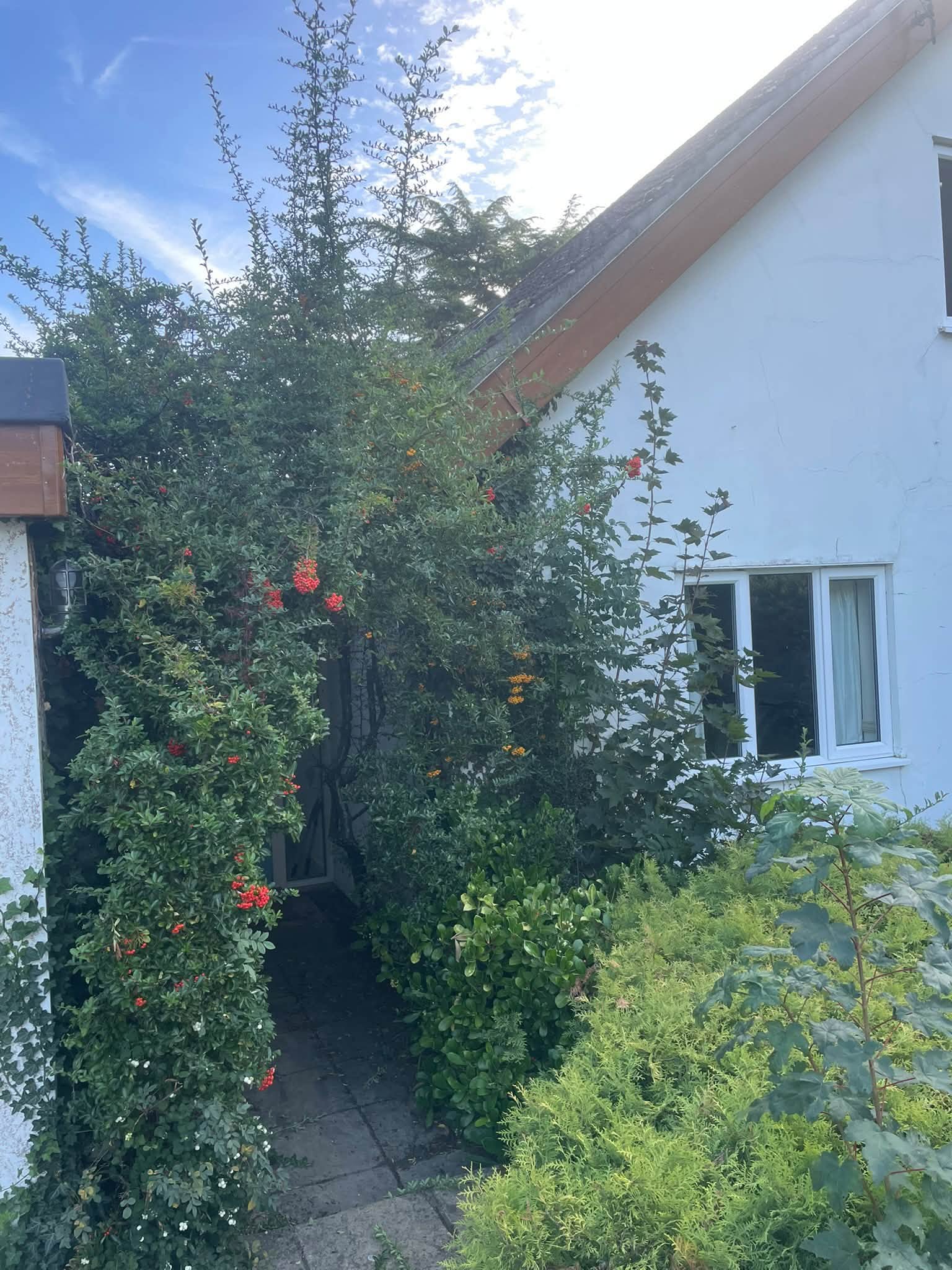 Garden Maintenance