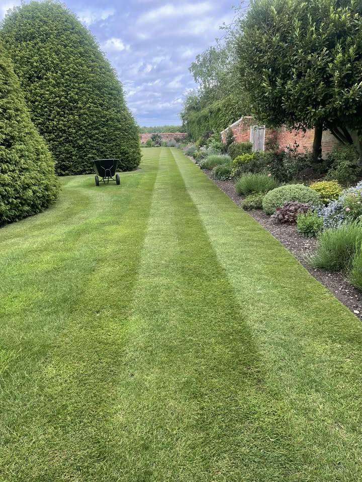 Grass Cutting & Meadow Cutting